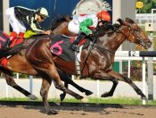 Supernova (Barend Vorster) proves too strong for Terminator.<br>Photo by Singapore Turf Club